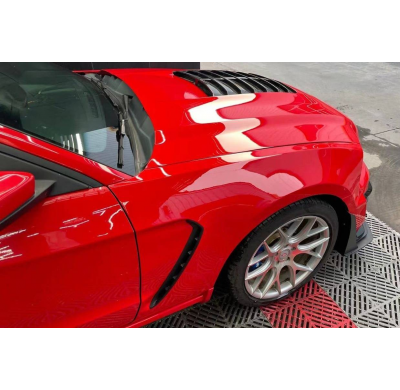 Aletas Ford Mustang 2010-2014 look GT500 Metal