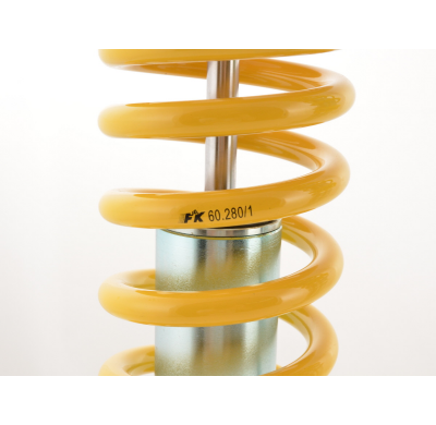 Kit coilover FK Honda Civic tipo EG2, EG3, EG4, EG5, EG9, EH6, EJ2, EJ6, EJ8, EJ9, EK3, EK4 año de construcción 91-00