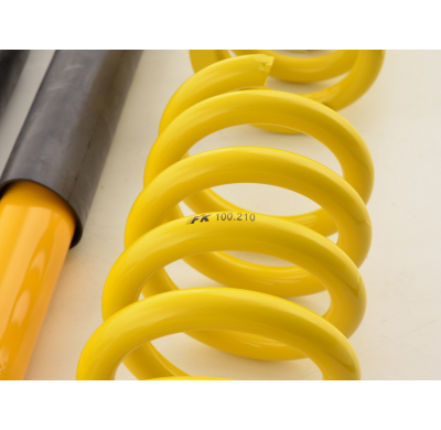 Kit coilover FK Mercedes Benz Clase C W202 Bj.1993-2001
