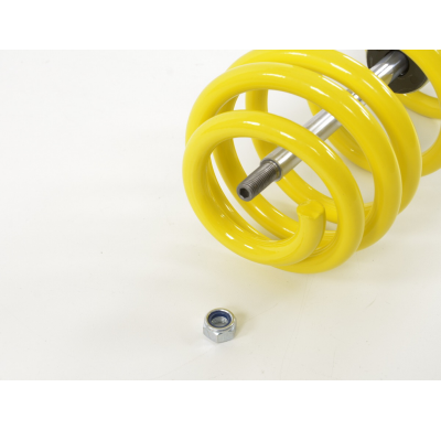 Kit coilover FK Audi A6 C5 / 4B sedán año 1997-2004