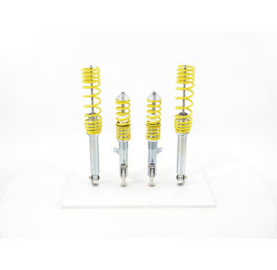 Kit coilover FK para Renault Twingo C06 Bj.1993-2007