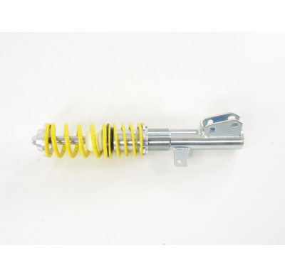 Kit coilover FK para Renault Twingo C06 Bj.1993-2007