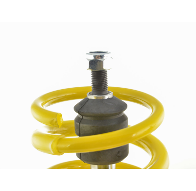 Kit coilover FK Seat Leon 5F Bj. De 2012 con puntal 55mm, eje trasero multibrazo