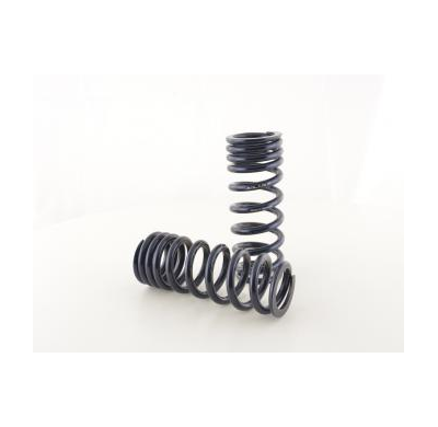 Muelles Deportivos Porsche 911 Turbo (996) Va/Ha Ca. 30 Mm Fk Automotive