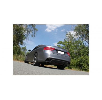 Escape FOX Audi RS5 - 8T escape final duplex - 115x85 38 duplex