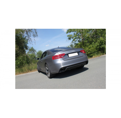 Escape FOX Audi RS5 - 8T escape final duplex - 115x85 38 duplex