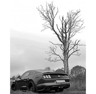 Escape FOX Ford Mustang GT Coupe & Cabrio escape final duplex - 1x100 25 duplex