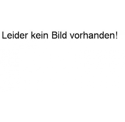 Tubo de repuesto para Silenciador delantero FOX Mini Cooper Clubman R55