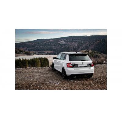 Escape trasero FOX Skoda Fabia NJ R5 Edition - 1x100 tipo 25