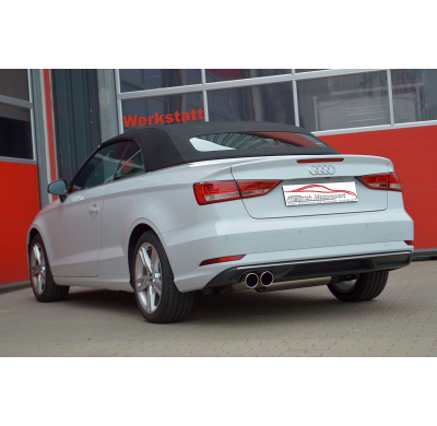 Escape Trasero Friedrich Audi A3 8v Cabrio 2wd  Desde Año: 01/2014  1.4l Tfsi 92/103/110kw