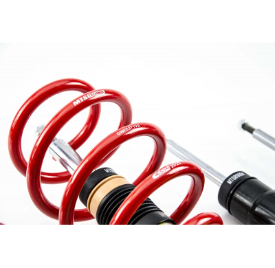 Kit roscado MTS TECHNIK Street Gold Cupra FORMENTOR (KM)  Año: 07/20 - Sin TUV  SIN Copelas parte delantera - SIN Copelas parte