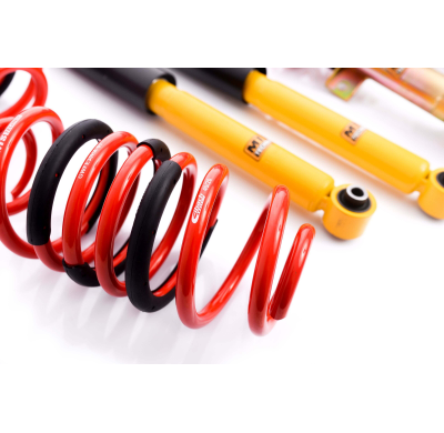 Kit roscado MTS TECHNIK Street Gold Ford USA MUSTANG Coupe  Año: 12/04 - 01/14 Con TUV  SIN Copelas parte delantera - SIN Copela