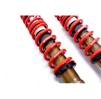 Kit roscado MTS TECHNIK Street Gold Volkswagen LUPO I (6X1/6E1)  Año: 09/98 - 07/05 Con TUV  SIN Copelas parte delantera - SIN C