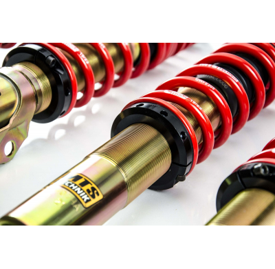 Kit roscado MTS TECHNIK Street Gold Seat IBIZA II (6K)  Año: 03/93 - 07/99 Sin TUV  CON Copelas parte delantera - SIN Copelas pa