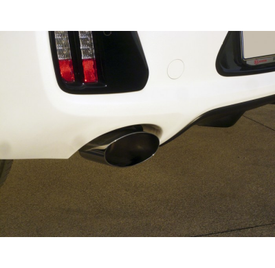 Escape Trasero Doble Acero Inox Salidas Ovaladas 135x90 Mm
  Kia Pro Cee'd 1.6t Gt (150kw) 2013>> Ragazzon