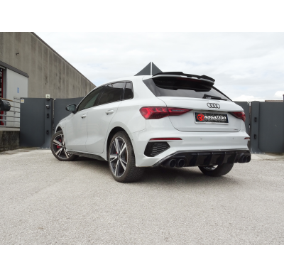 Tramo intermedio grupo N en acero inox + Silencioso trasero doble en acero inox
 
 
 CON HOMOLOGACION Audi A3 (typ 8Y - GY) 2020