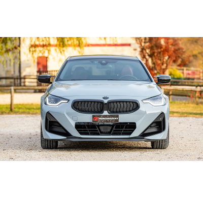 Catalizador metalico 200cpsi grupo N   </p>
 
 Es necesario reprogramar la centralita 
 - BMW Serie2 G42(Coupè) 2021>> 230i (180