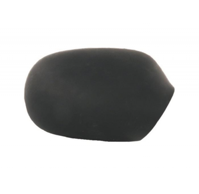 Renault Megane/Sce 96-*Carc.Esp.Dch Negro