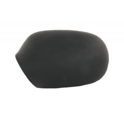 Renault Megane/Sce 96-*Carc.Esp Izq Negro