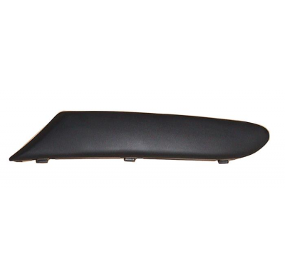 Rover 25 00-*Moldura P/Golpes Del Dch