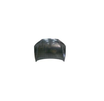 Hyundai Santa Fe 2006-*Capo