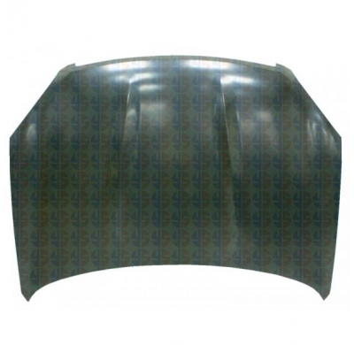 Nissan Qashqai 07-*Capo