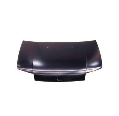 Fiat Punto 99-*Capot