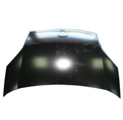 Fiat Fiorino 08-*Capo