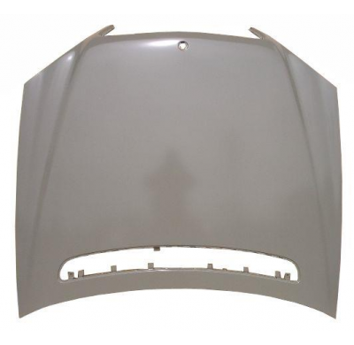 Mercedes S W220 02-*Capo