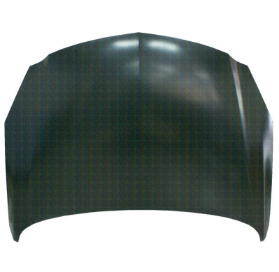 Opel Insignia 08-*Capo(Chapa)