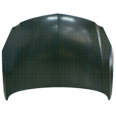 Opel Insignia 08-*Capo(Aluminio)