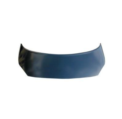 Capo Renault Scenic 03>