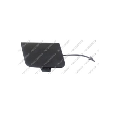 Tapagancho Parachoques Delantero