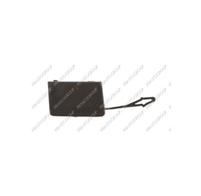 Tapagancho Delantero