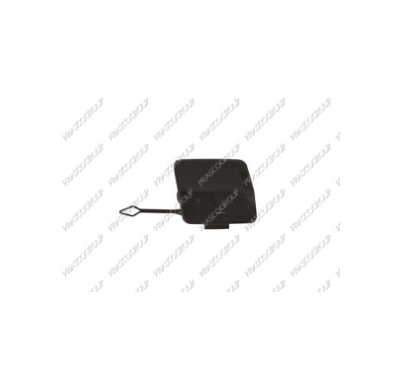 Tapagancho Delantero