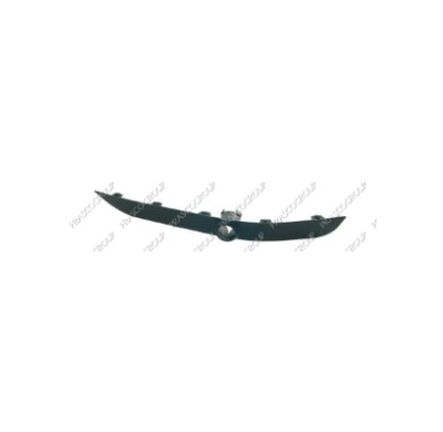 Moldura Parach.Bmw X5 I.00>