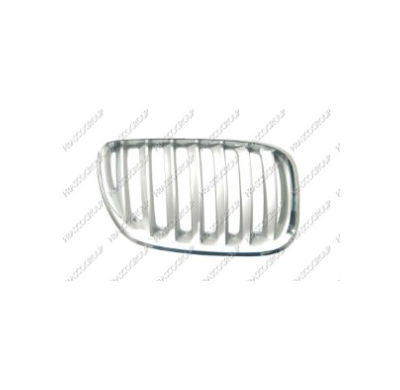 Rejilla Titanio Bmw X5 D.04>