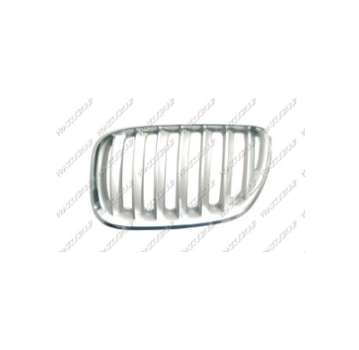 Rejilla Titanio Bmw X5 I.04>