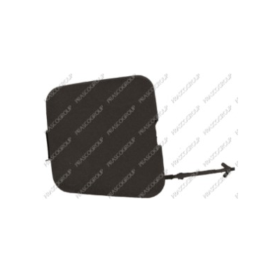 Tapagancho Delantero