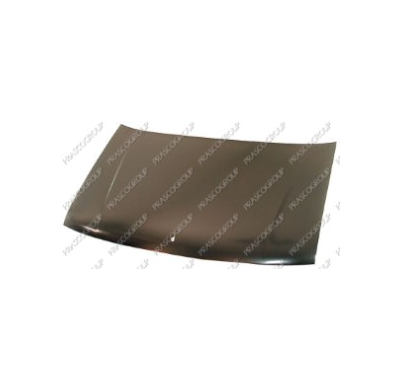 Capo Chrys.Voyager Del. 91-92