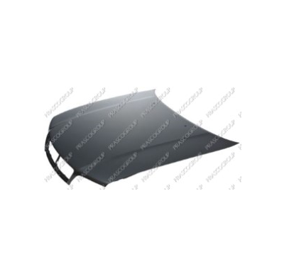 Capo Nissan Maxima 95>