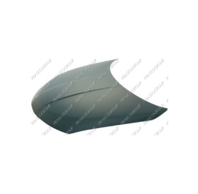 Capo Nissan Murano 04>