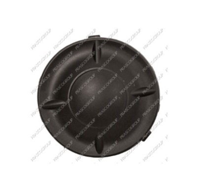 Tapa Faro Antiniebla Izquierda