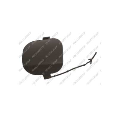 Tapagancho Delantero Imprimado