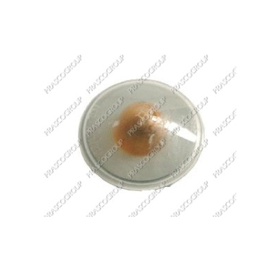 Grupo Optico Lateral Der./Izq.Ambar