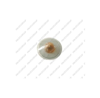 Piloto Lateral Der./Izq. Blanco