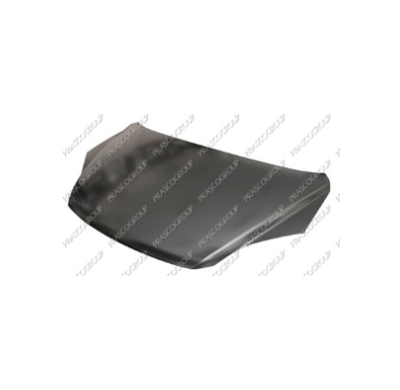 Capo Delantero Honda Crv 10>