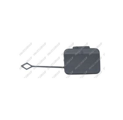 Tapagancho Paragolpes Trasero Imprimado W212  09