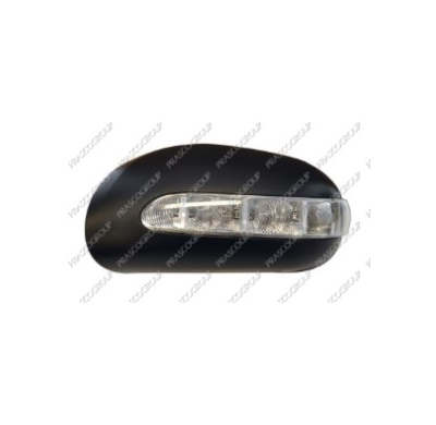 Carcasa Espejo Izquierda Imprimada-C/Piloto