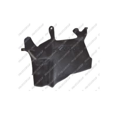 Proteccion  Lateral Motor Izquierdo